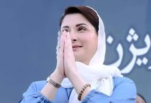 پنجاب کی تاریخ کی پہلی موسمیاتی پالیسی ،تاریخ رقم