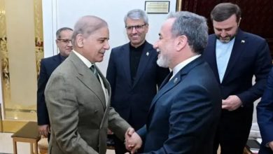 پاکستان کا دورہ نہایت مفید رہا، حالات و واقعات کا جائزہ لیا گیا: عراقچی